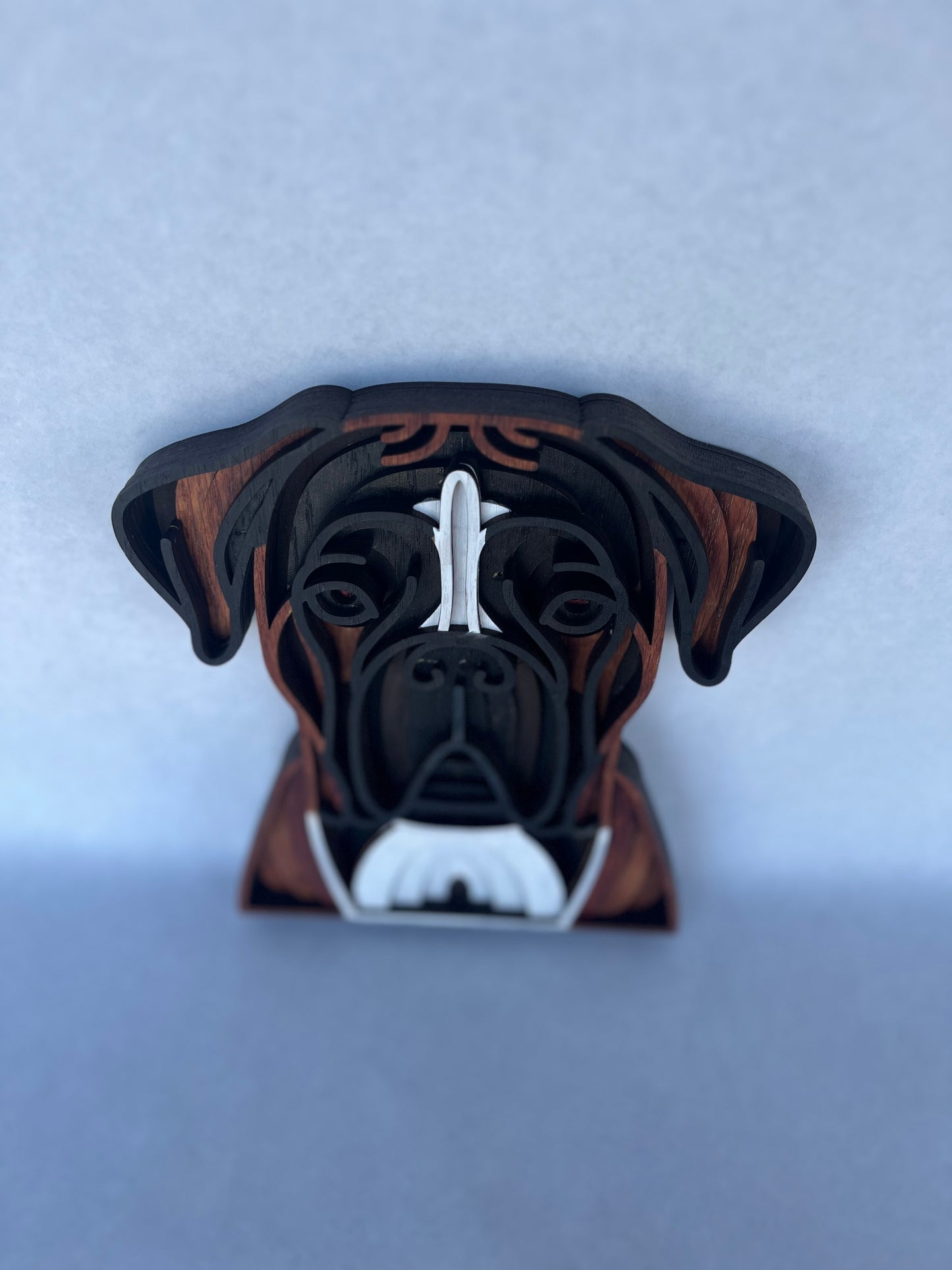 Boxer