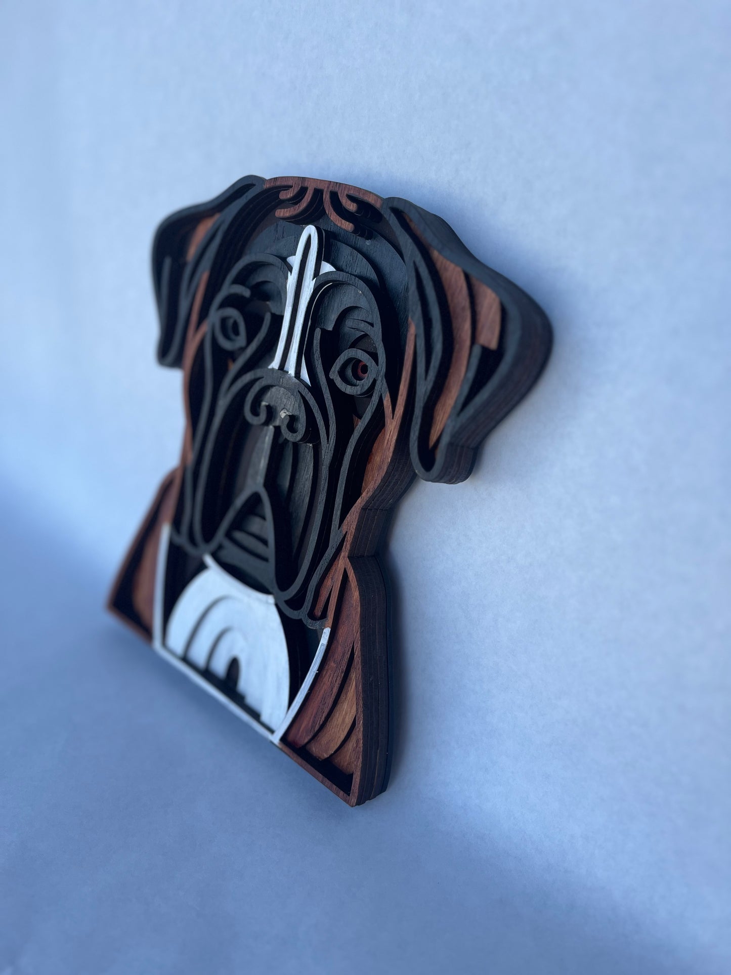 Boxer