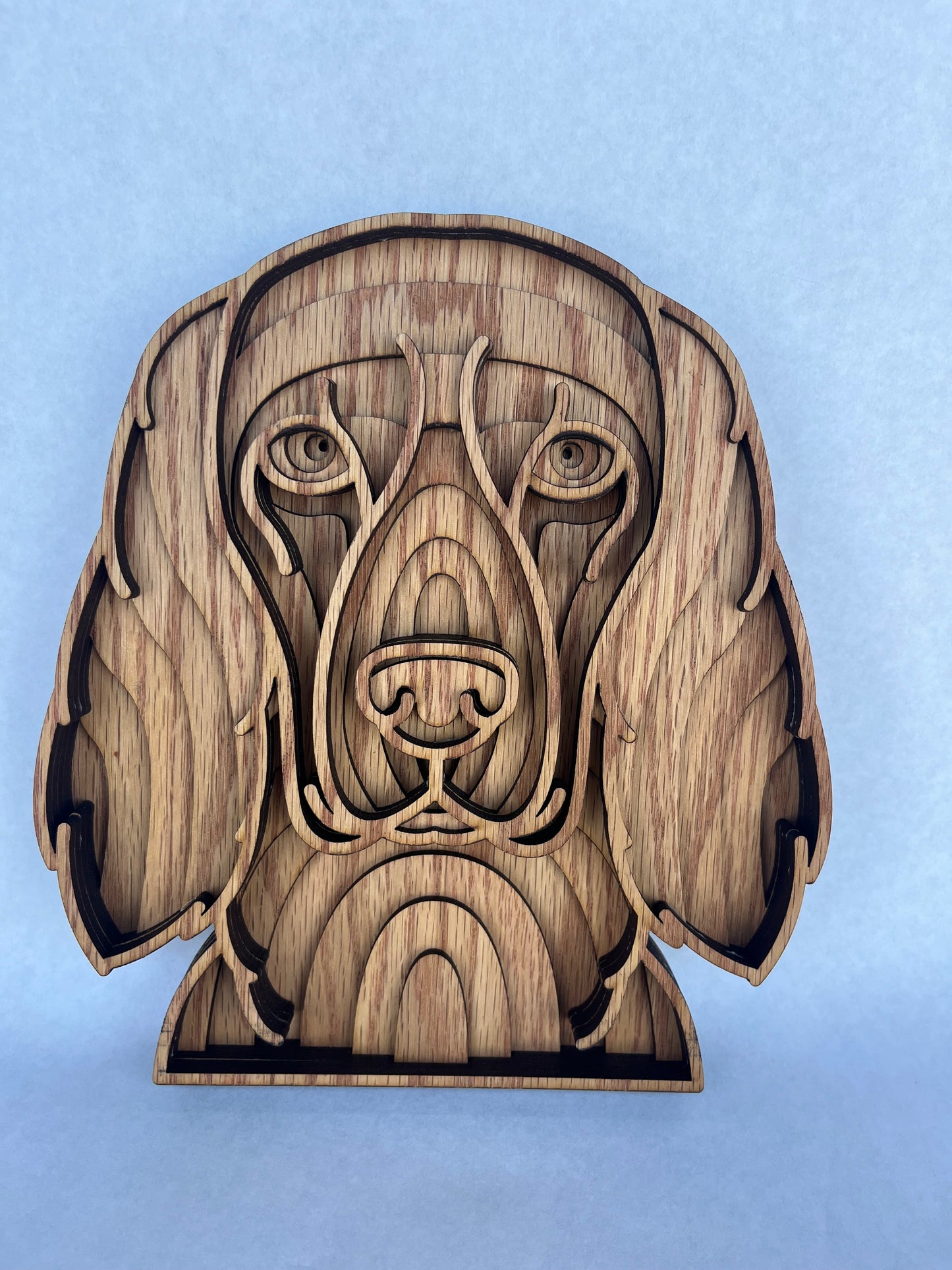 Cocker Spaniel