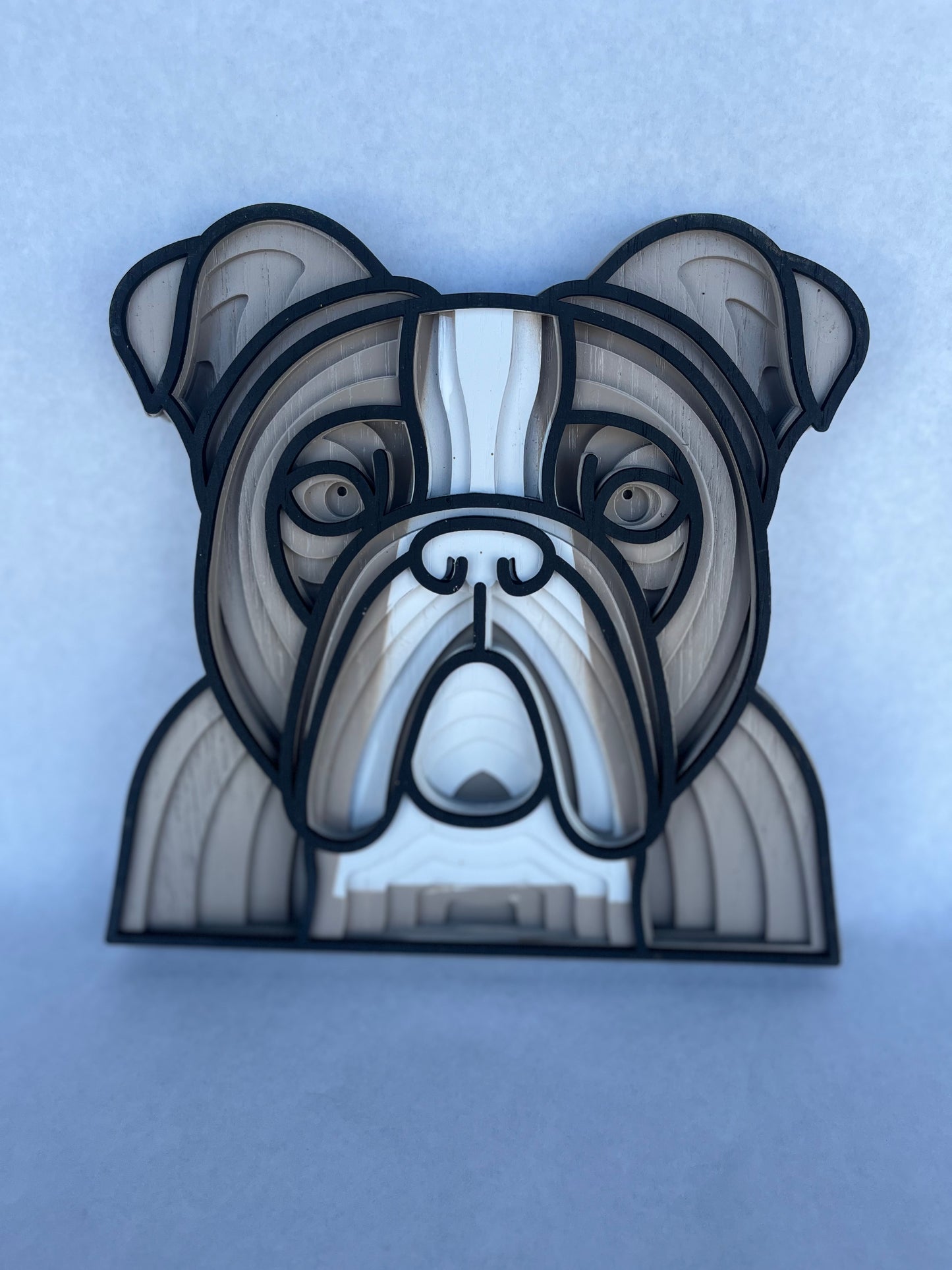English Bulldog