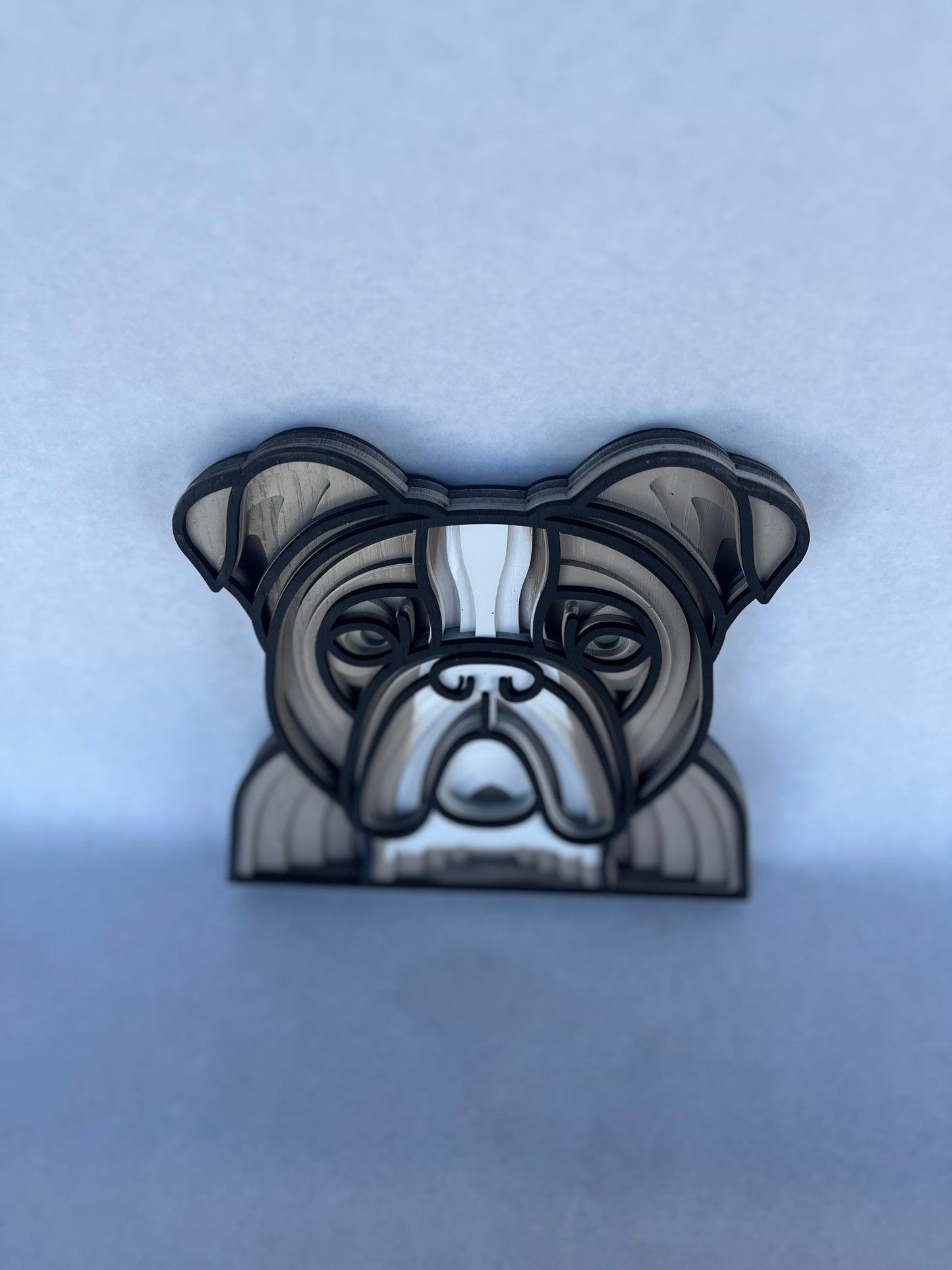 English Bulldog